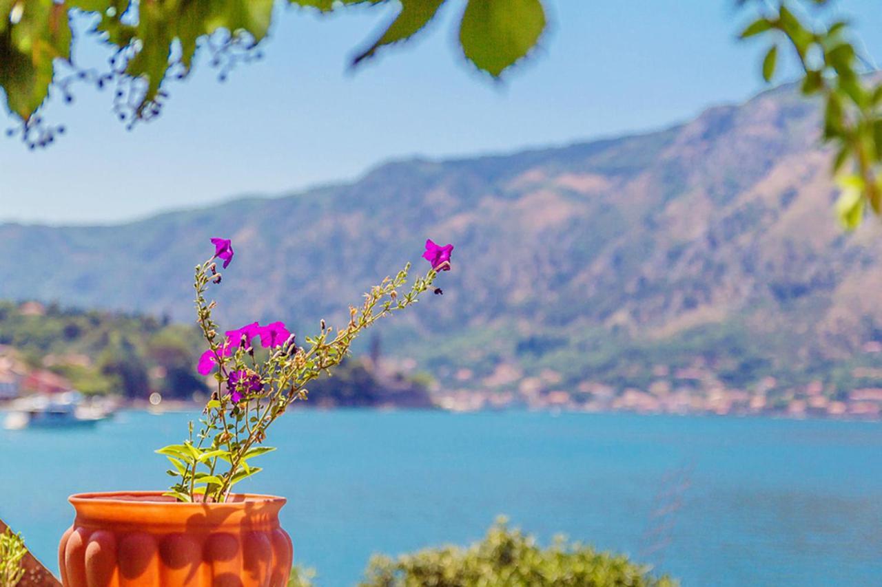 Villa Donkovic โกตอร์ ภายนอก รูปภาพ