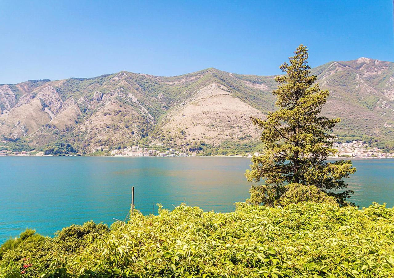 Villa Donkovic โกตอร์ ภายนอก รูปภาพ