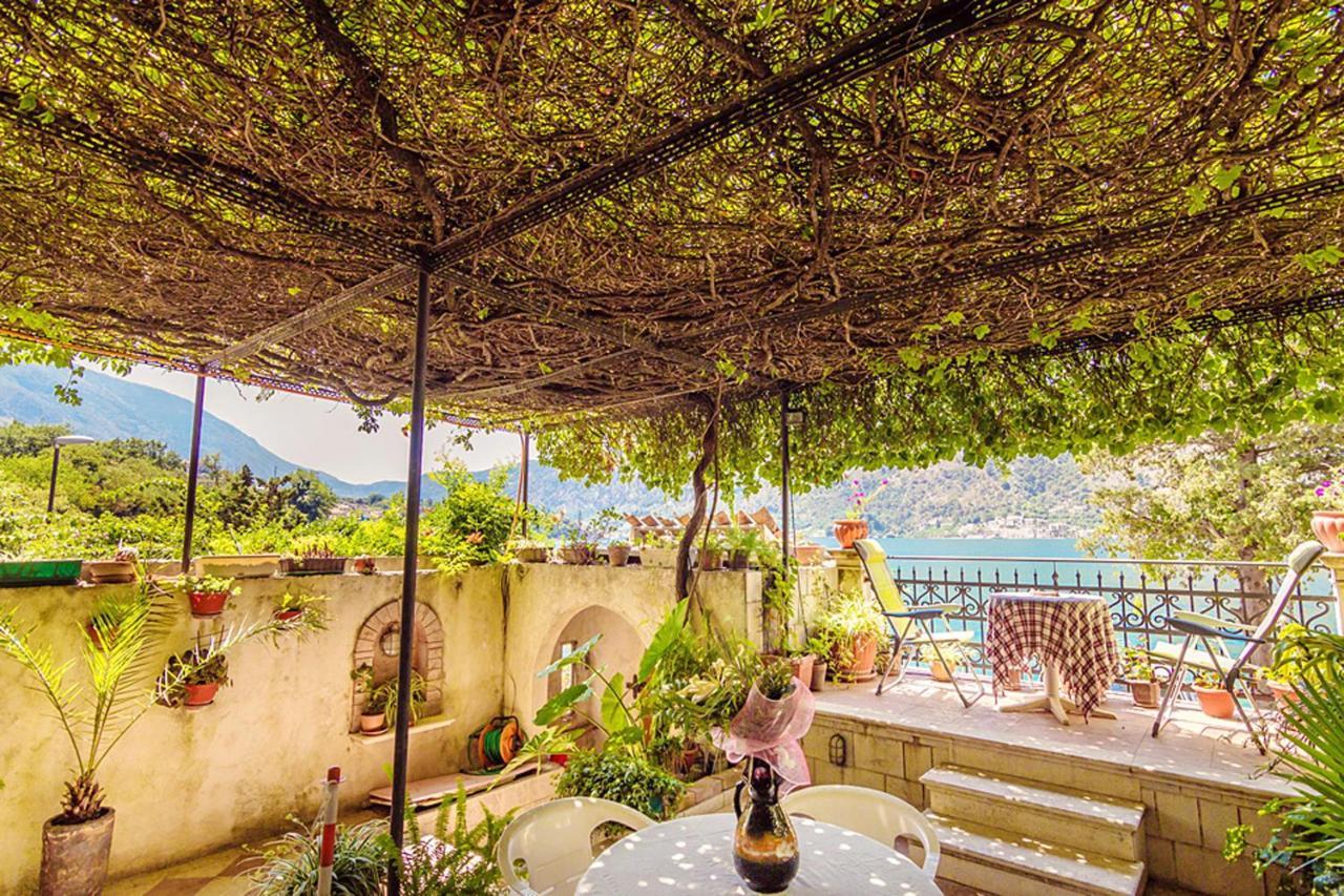Villa Donkovic โกตอร์ ภายนอก รูปภาพ